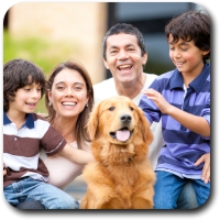 Annuities Planning